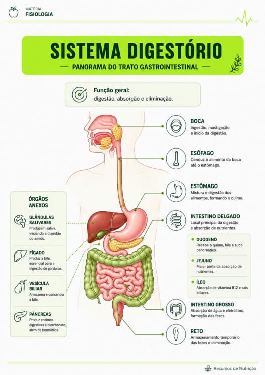 Prévia — página ilustrada dos Resumos de Nutrição