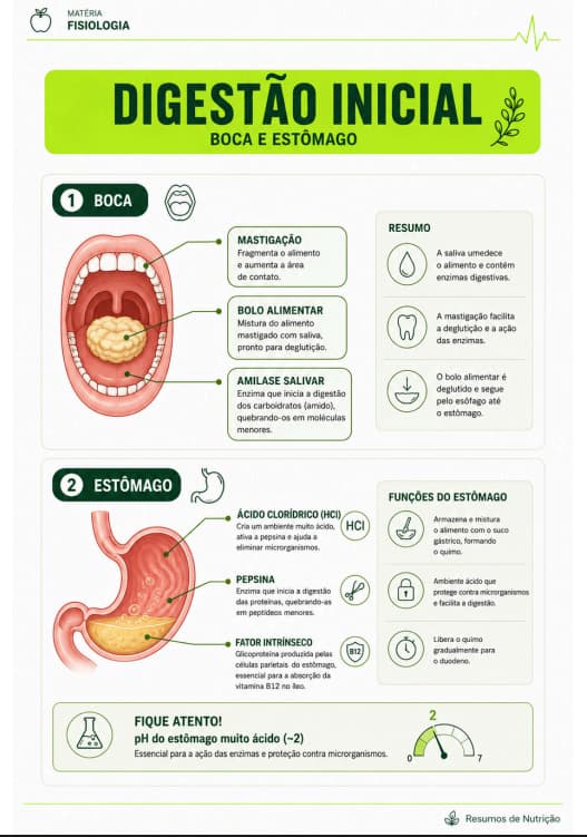 Prévia — página ilustrada dos Resumos de Nutrição
