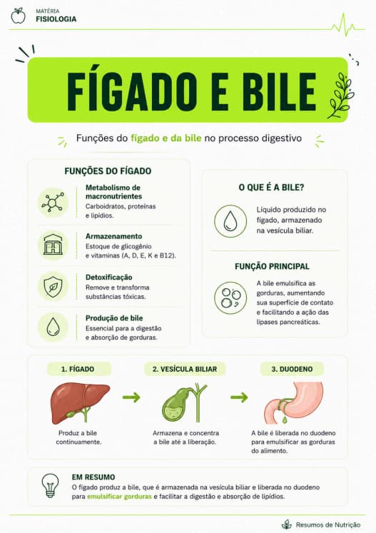 Prévia — página ilustrada dos Resumos de Nutrição